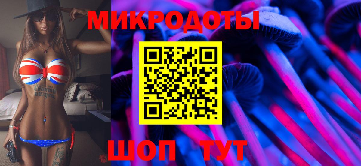 Галлюциногенные грибы MAGIC MUSHROOMS  Вход с VPN  Горно-Алтайск 